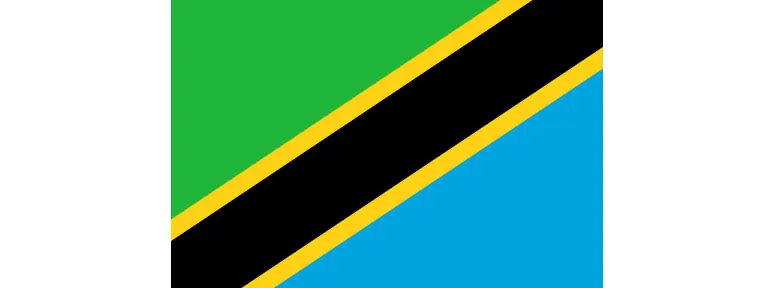 investigation in tanzania